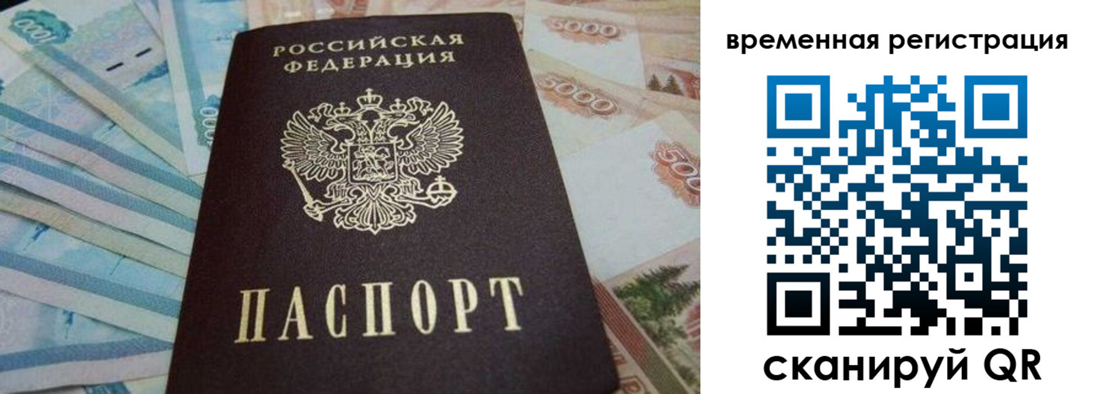 временная регистрация гарантия в Мурино